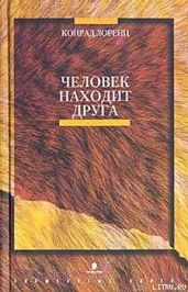 Человек находит друга