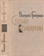 Степан Кольчугин. Книга вторая