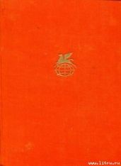 Как меня выбирали в губернаторы