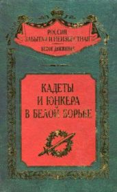 Кадеты и юнкера в Белой борьбе и на чужбине