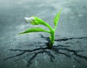 От первого лица