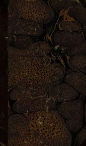 История Петра Великого, отца отечества, для детей