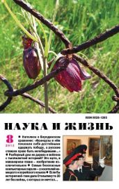 Журнал Наука и Жизнь 2012 №8