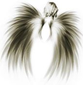 Мечта барда