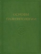 Губки, археоциаты, кишечнополостные, черви