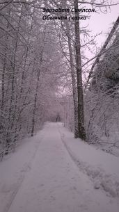 Обычная сказка