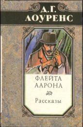 Избранные произведения в 5 томах. Книга 2: Флейта Аарона. Рассказы