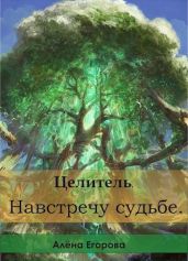 Целитель. Навстречу судьбе