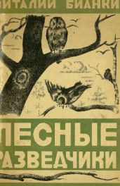 Лесные разведчики