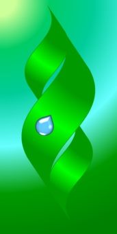 Удивительные числа Фибоначчи