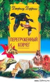 Перегруженный ковчег