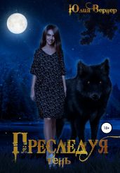 Преследуя тень