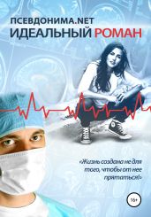 Идеальный роман