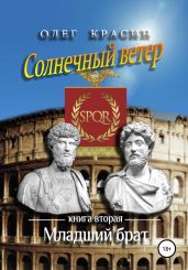 Солнечный ветер. Книга вторая. Младший брат