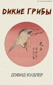 Дикие грибы