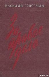 За правое дело (Книга 1)