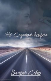 Не случайная встреча