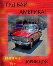 Гуд бай, Америка! Книга 2