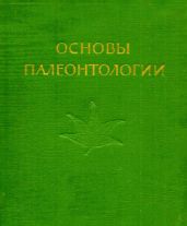 Голосеменные и покрытосеменные