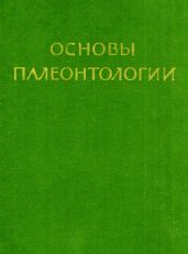 Водоросли, мохообразные, псилофитовые, плауновидные, членистостебельные, папоротники