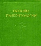 Членистоногие — трахейные и хелицеровые