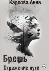 Брешь. Отражение пути