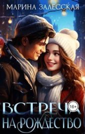 Встреча на Рождество
