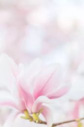 По тропке вниз