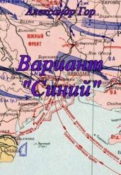 Вариант Синий