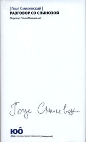 Разговор со Спинозой