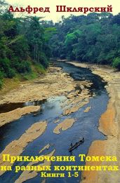 Сборник Приключения Томека на разных континентах. Компиляция. кн.1-5