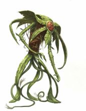 Звёзды сошлись