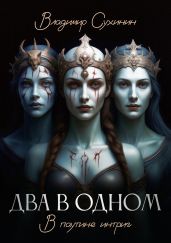 Два в одном. В паутине интриг