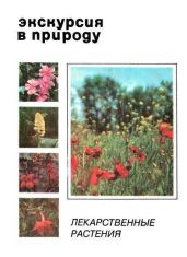 Экскурсия в природу. Лекарственные растения. Выпуск 1