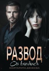 Развод. Он влюбился