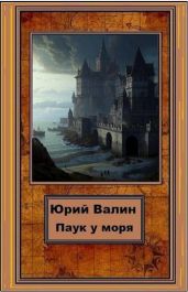 Паук у моря