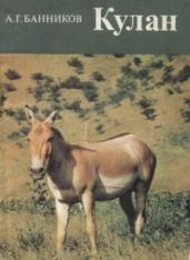 Кулан