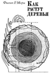 Как растут деревья