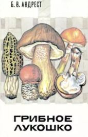 Грибное лукошко