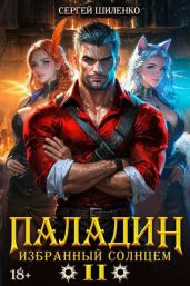 Паладин Том 2