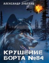 Крушение Борта № 84