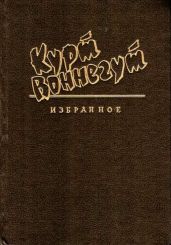 Синяя борода