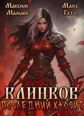 Клинков 5. Последний хаосит