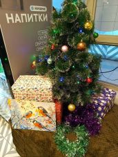 нг шоу блог