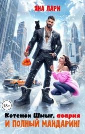 Котенок Шмыг, авария и полный мандарин!