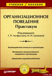 Организационное поведение: Практикум