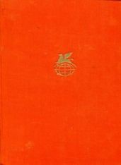 Таинственный незнакомец