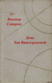 День Зои Виноградовой (сборник)