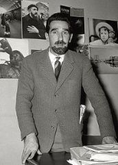 Стерн Марио Ригони